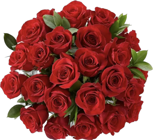 Red Roses Bouquet