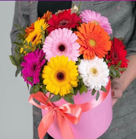 Mixed Color Gerbera Box