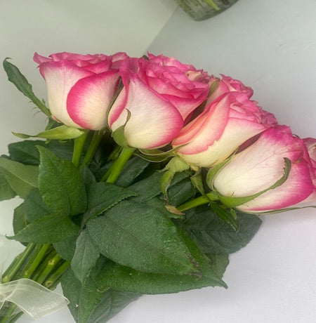 Pink Roses