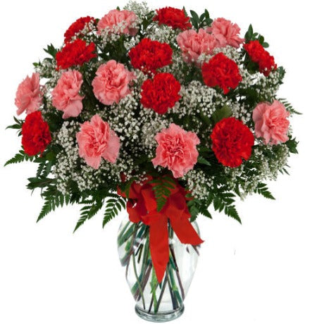 Red & Pink Carnation