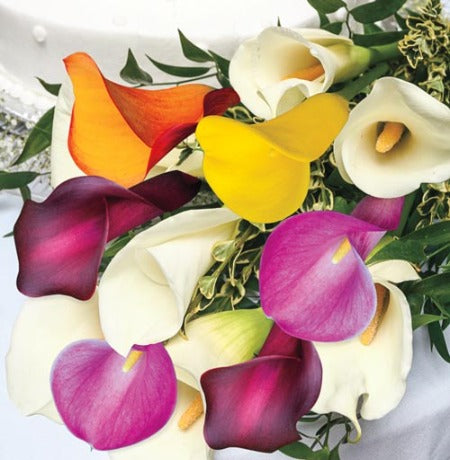 Mixed Color Cala Lily Bouquet