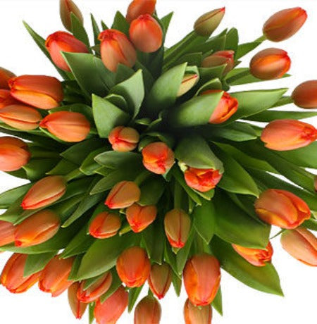 Orange Tulips Bouquet