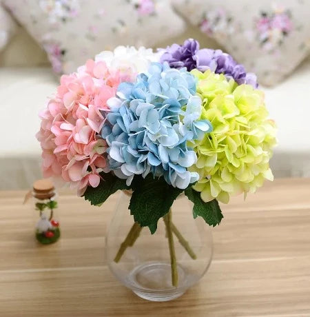 Mixed Hydrangeas