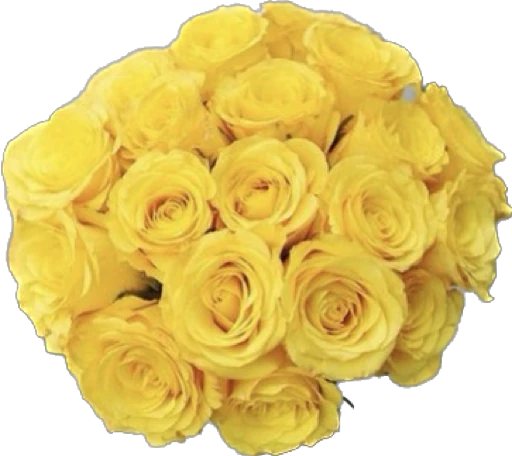 Yellow Roses Bouquet