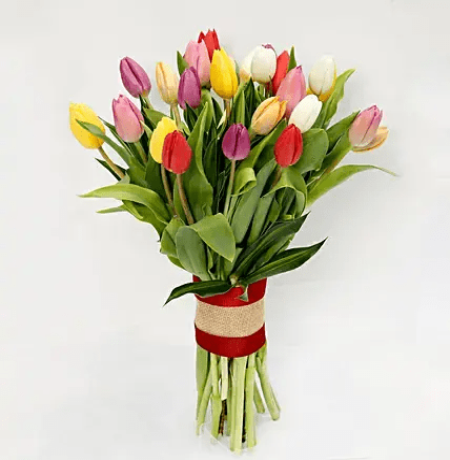 Mixed Color Tulips Bouquet