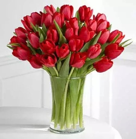 Radiantly Red Tulips