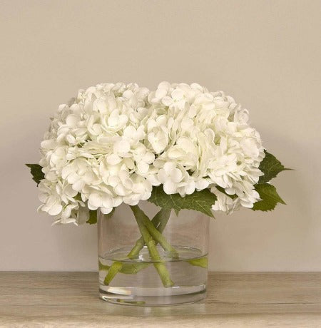 White Hydrangea in Vase