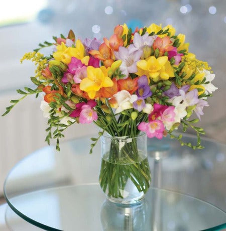 Freesia in a vase