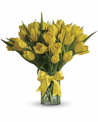 Sunny Yellow Tulips