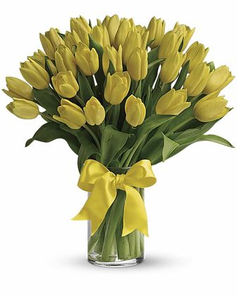 Sunny Yellow Tulips