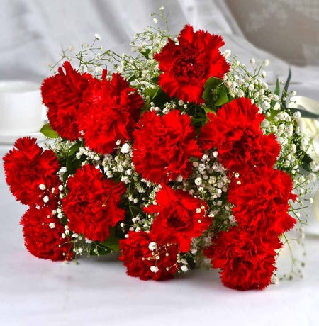 Red Carnation & Baby's Breath Bouquet