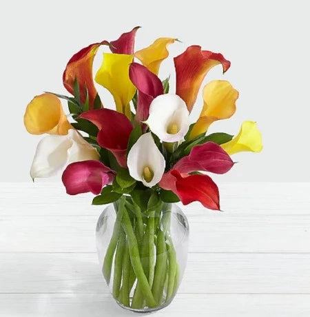 Mixed Color Cala Lily Vase