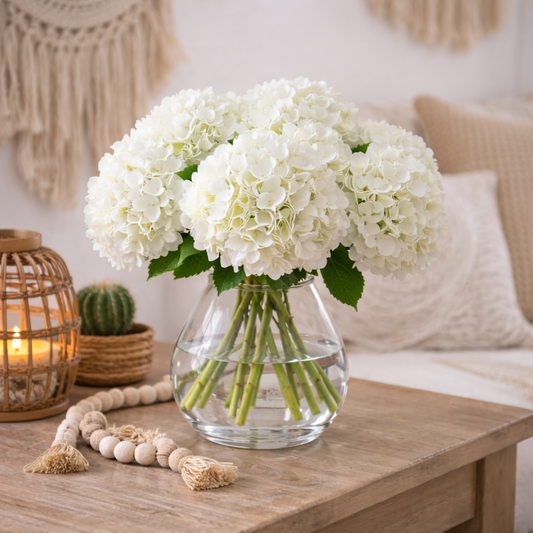 White Hydrangea in Vase