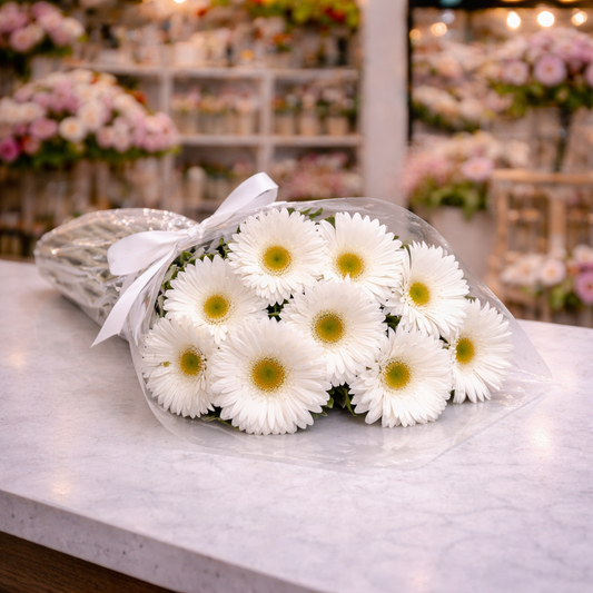 White Gerbera Daisies