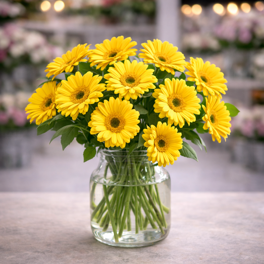 Yellow Gerbera in a Vase