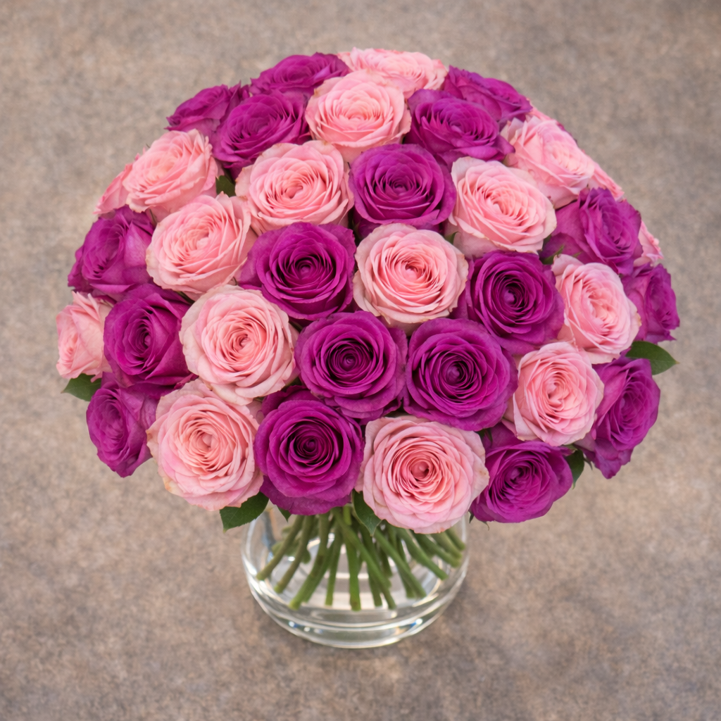 Blush Bloom in a vase