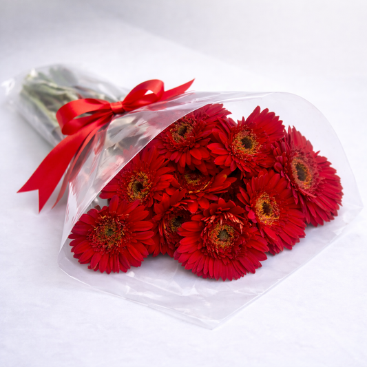 Red Gerbera Daisy