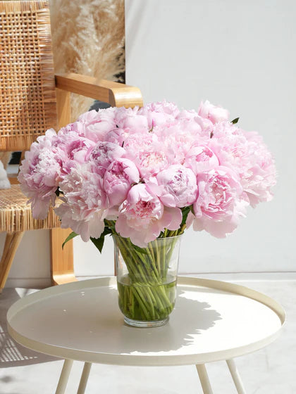 100 Peonies Spectacular