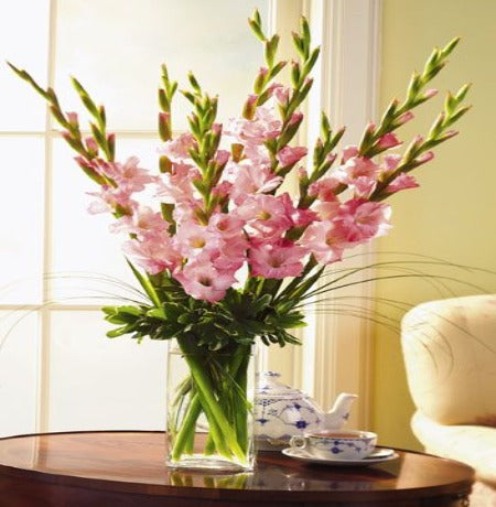 Pink Gladiolus in a vase