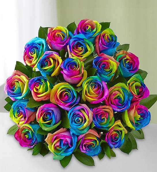 Rain Bow Roses