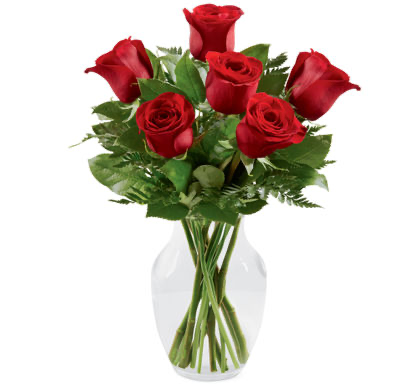 Red Roses in a Vase