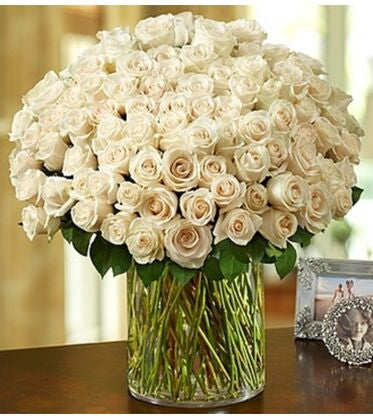 White Roses in a Vase