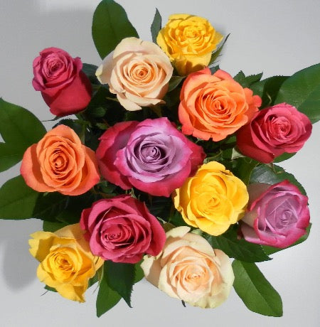 Mixed Color Roses