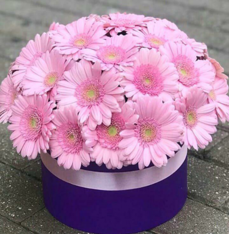 Pink Gerbera Box