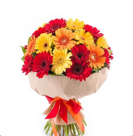 Mixed Color Gerbera Daisies Bouquet