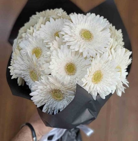 White Gerbera Daisies