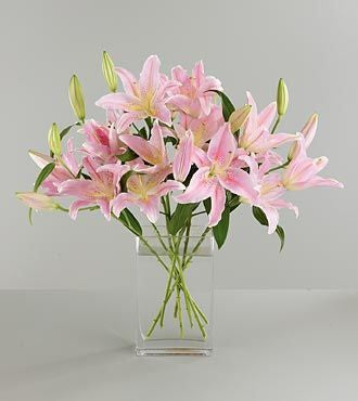 Pink Lilies in a Vase