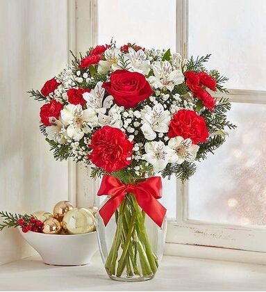 Lovely Red and White Flowers