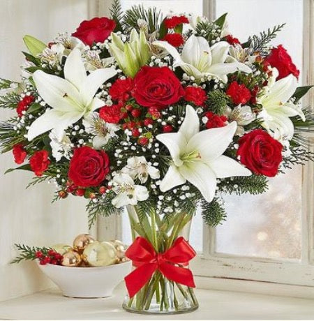 Lovely Red and White Flowers