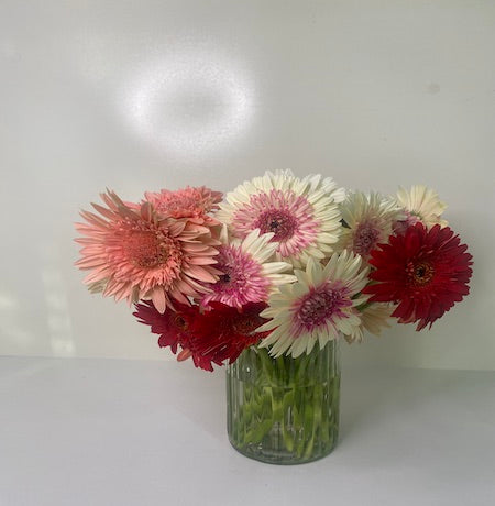 Gerbera Delight in a vase