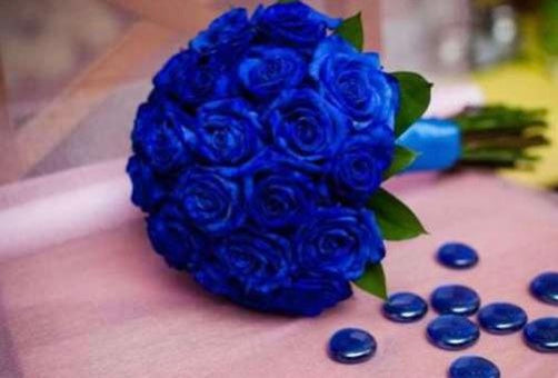 Extreme Blue Roses