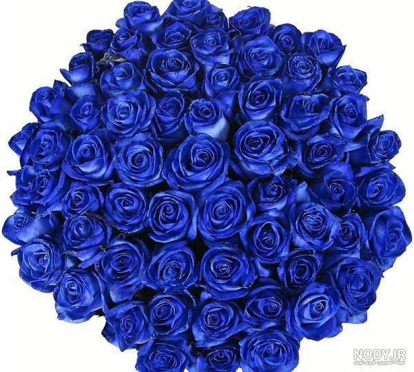 Extreme Blue Roses