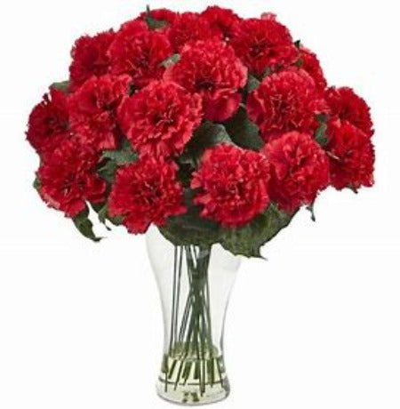 Red Carnations in Vase