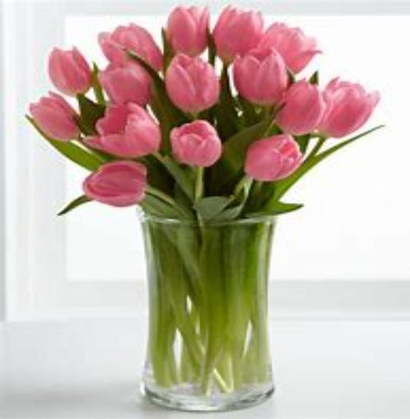 Precious Pink Tulips