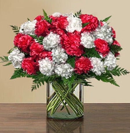 Red & White Carnation in Vase