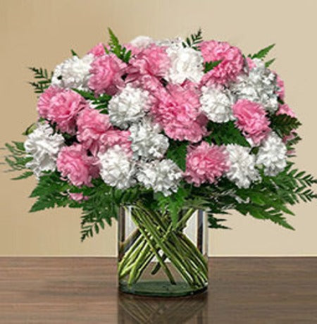 Pink & White Carnation