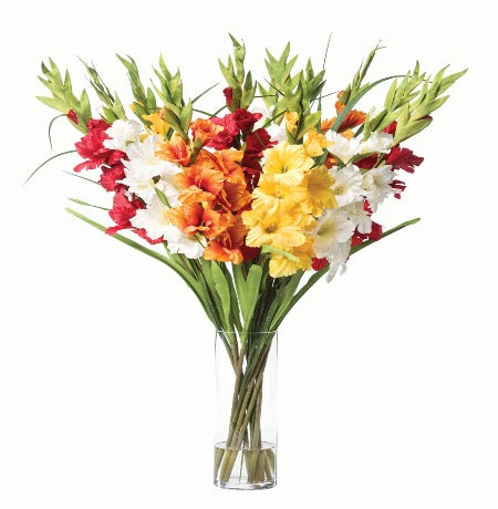 Mixed Color Gladiolus in a Vase