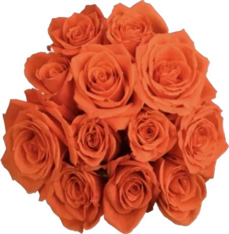 Orange Roses Bouquet