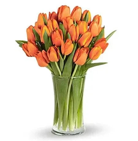 Orange Tulips in Vase