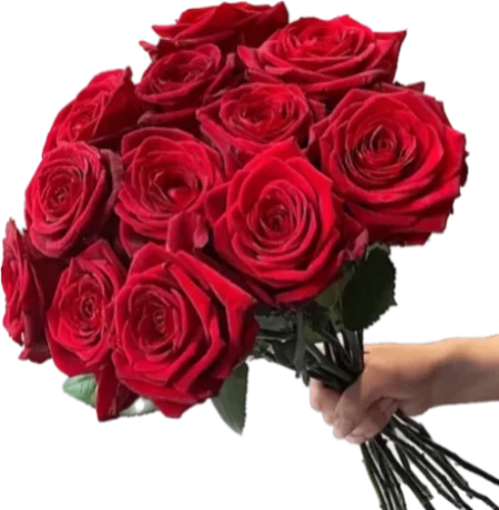 Red Roses Bouquet