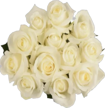 White Roses Bouquet